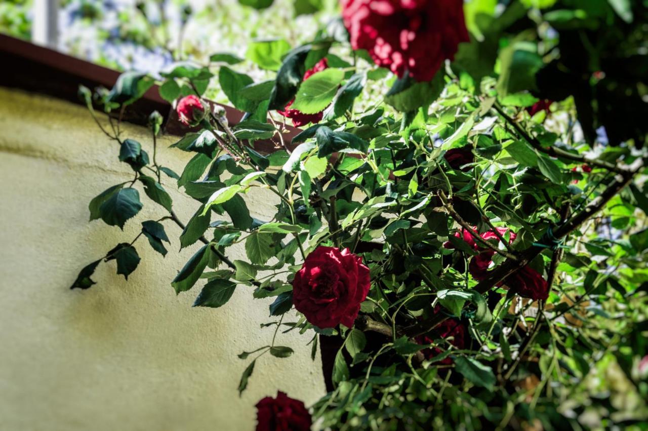 Lovely Nest Near Florence City Center Екстер'єр фото