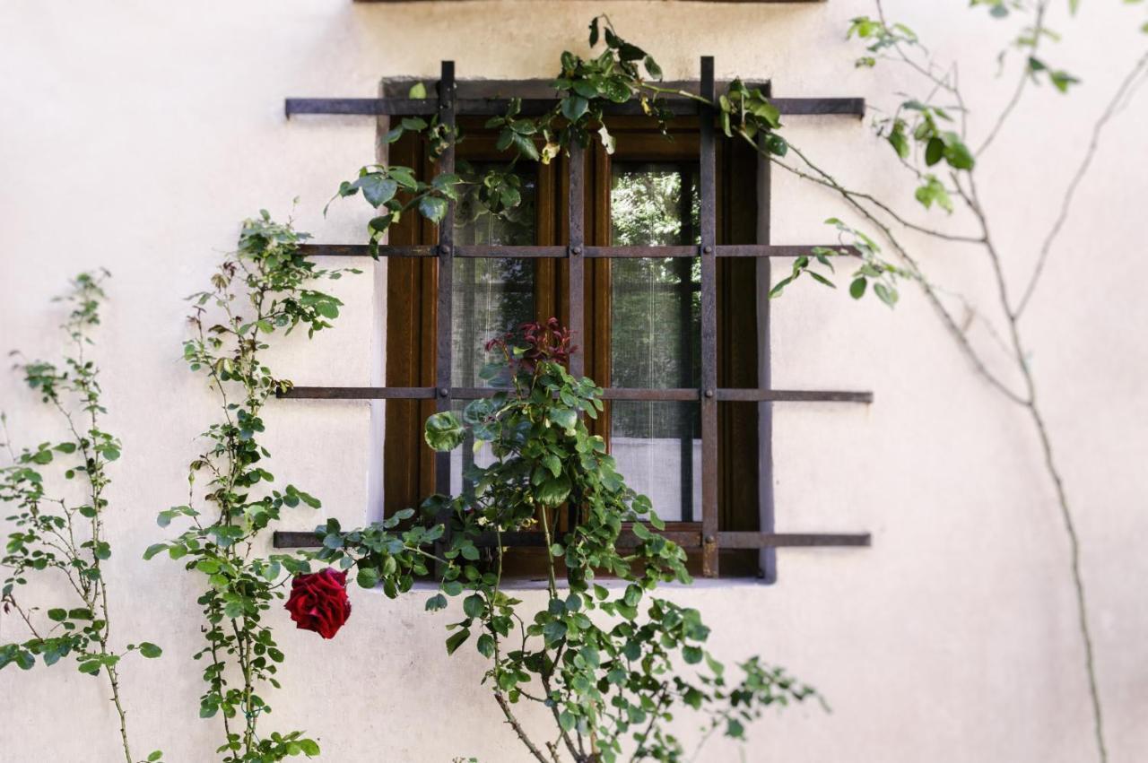 Lovely Nest Near Florence City Center Екстер'єр фото