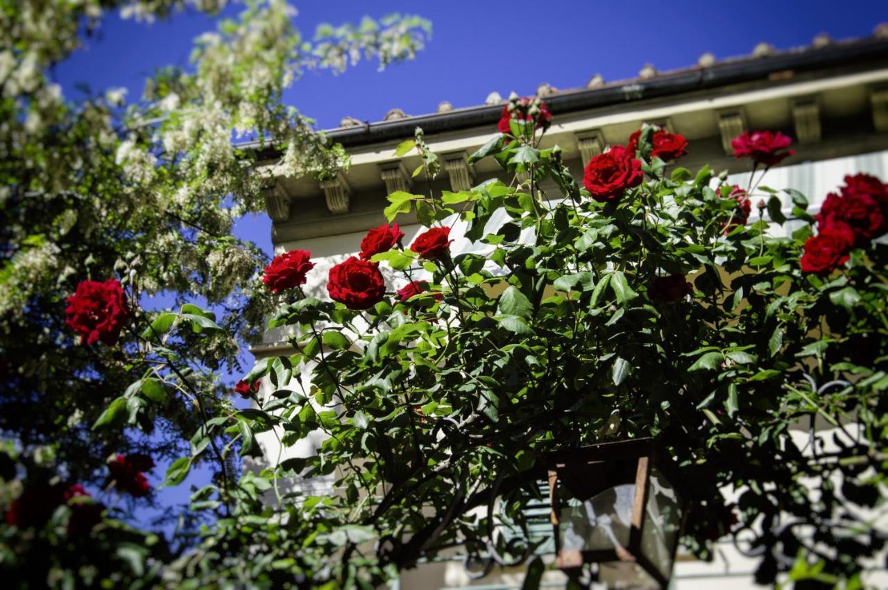 Lovely Nest Near Florence City Center Екстер'єр фото